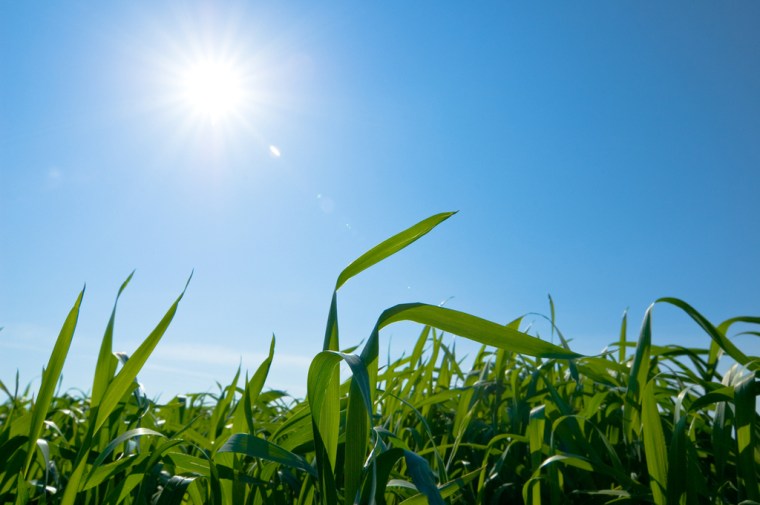 Feel Good Group - Time to Move forward