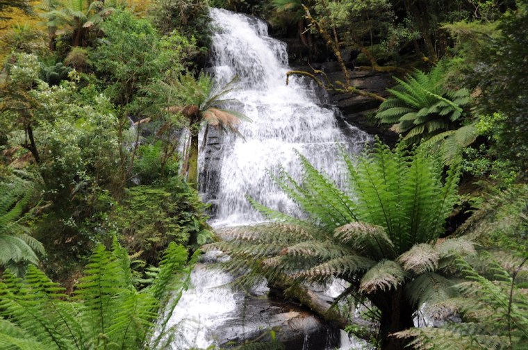 Feel Good Group - Is this abundance?