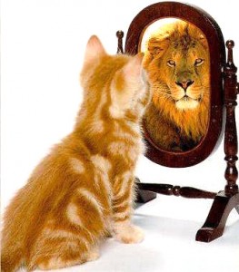 Feel Good Group - Kitten becomes a lion in the mirror
